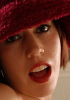 Tabby in latinas, Tabby (tab002) ATK Exotics: Tabby (Tabby in latinas)