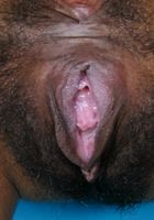 ATK Exotics: Terrari (Terrari in black women)