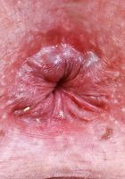 ATK Galleria: Tess Thompson (Tess Thompson takes it off)