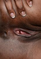 ATK Exotics: Tiffany Tailor (Tiffany Tailor says)