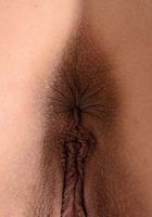 Vanna Bardot in lingerie, Vanna Bardot (van061) ATK Petites: Vanna Bardot (Vanna Bardot in lingerie)