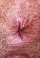 Violet Viper from ATK Natural & Hairy