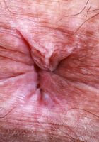 ATK Natural & Hairy: Violet Viper (Violet Viper loves the color blue)