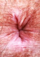 Violet Viper from ATK Natural & Hairy