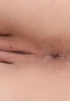 ATK Exotics: Mandy Muse (Mandy Muse in latinas)