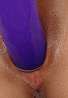 ATK Exotics: Yanikcia (Yanikcia in toys)