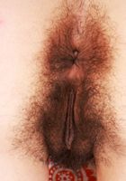 Zoey Jpeg Transparent Lingerie, Zoey Jpeg (zoe049) ATK Natural & Hairy: Zoey Jpeg (Zoey Jpeg Transparent Lingerie)