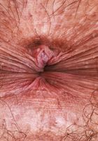 Zoey Jpeg Fishnet Lingerie, Zoey Jpeg (zoe049) ATK Natural & Hairy: Zoey Jpeg (Zoey Jpeg Fishnet Lingerie)